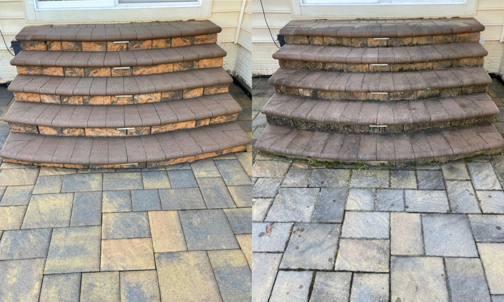 Saxon Downs owner of Saxon Powerwash and Restorations LLC in Leesburg VA